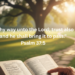 "A person reading Psalm 37 from a KJV Bible in a peaceful garden with a winding stone path, symbolizing God ordering the steps of the righteous."